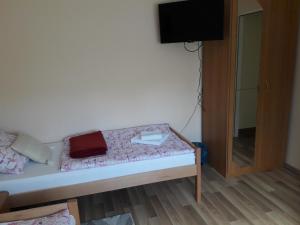 TV a/nebo společenská místnost v ubytování Rooms Luka