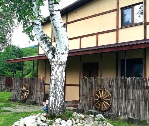 un niño sentado frente a una casa con un árbol en Guest House Pisnya Karpat, en Skole