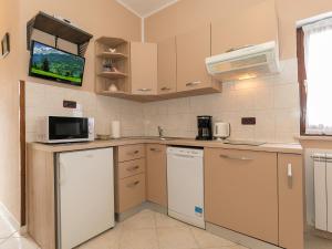Kuchyň nebo kuchyňský kout v ubytování Apartments Davorka