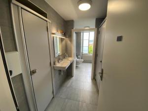 een badkamer met een wastafel, een toilet en een spiegel bij The 5 continents III - Premium appartment by Stay Swiss in Porrentruy