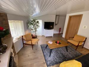 Gallery image of Isabel House Alojamento Rural in Pampilhosa da Serra +55 photos