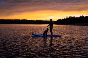 a man and a dog on a paddle board on a lake at Siedlisko Żywe Kamienie in Naguszewo