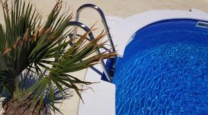 ein blauer Pool mit einer Pflanze daneben in der Unterkunft Beach Resort La Margarita in Vandellòs i l’Hospitalet de l’Infant