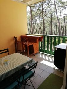 a screened in porch with a table and a piano at LES GRANDS PINS in Carcans