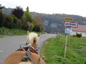 a horse standing on the side of a road at La Bergerie Crenantine in Crenans +4 photos
