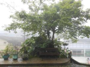 ドミンゴス・マルチンスにあるPousada Pouso do Barãoの木の下のベンチに座る木