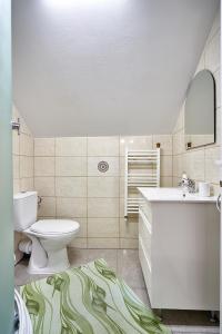 a bathroom with a white toilet and a sink at Camere de inchiriat ROMAN in Vişeu de Sus