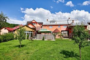 a large house with a yard in front of it at Camere de inchiriat ROMAN in Vişeu de Sus
