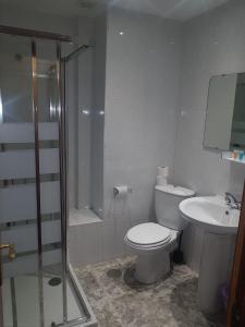 a bathroom with a toilet and a shower and a sink at Hotel Torremolinos Centro in Torremolinos