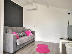 een woonkamer met een bank en een roze tapijt bij La Casita del Escorial in El Escorial