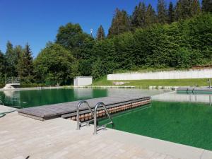a pool of green water with a wooden dock at INSIDER Appartement in Schönwald