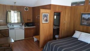 Alpine Moose Lodge في Lake City: غرفة صغيرة بها سرير ومطبخ