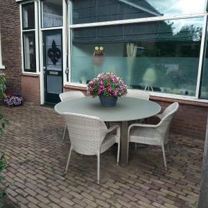 een tafel met stoelen en een potplant op een patio bij Fleurdelis in Lisse