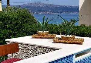 two plants in baskets sitting on a table near the water at Villa Kale Apartments in Slatine