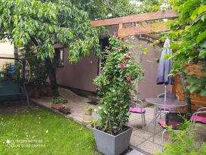 捷克布傑約維采的住宿－花園公寓，一个带桌子和盆栽的花园