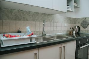 a kitchen sink with a dishrack with dishes in it at Apartma Metija LUX z savno in Kobarid +14 photos