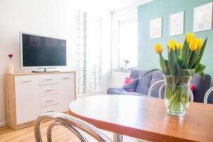 TV a/nebo společenská místnost v ubytování AL-DOM apartamenty Olymp Kamma 106