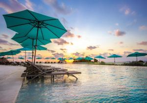 una playa con sillas y sombrillas en el agua en Dreams Vista Cancun Golf & Spa Resort en Cancún