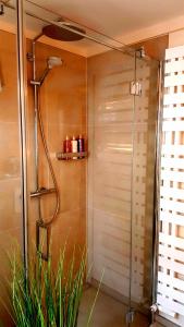 a shower with a glass door in a bathroom at Altstadtapartment an der Krämerbrücke Nr.2 in Erfurt