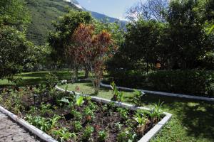 Zahrada ubytování Hostería La Eterna Primavera