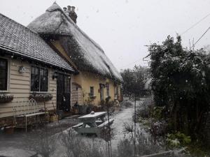 Ảnh trong thư viện ảnh của Ivy Todd cottage ở Debden