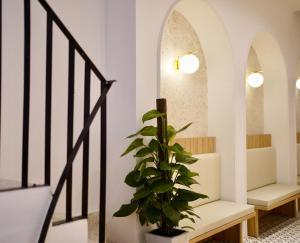 Foto sihtkohas Đà Lạt asuva majutusasutuse L'amie Hotel & Studio galeriist