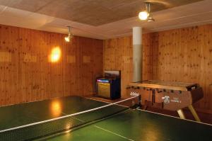 Stolní tenis v ubytování Beinwil am See Youth Hostel nebo okolí