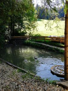 Kép Ferienhaus am Waldrand von Egg Bregenzer Wald szállásáról Eggben a galériában