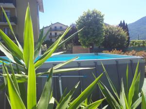 The swimming pool at or close to Cuorematto