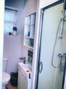 a bathroom with a shower and a sink and a toilet at Micro Barn Barnard Castle The Crown pub is open Fri to Sun check Facebook for hours in Mickleton