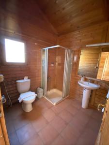 a bathroom with a toilet and a shower and a sink at Nuweiba Lodge in Nuweiba