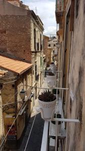 A balcony or terrace at BALCONI SU TROPEA