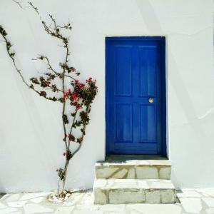 a blue door on a white building with a plant at Piazza Castello in Plaka Milou