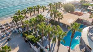 Bassein majutusasutuses Phoenix Beach Hotel või selle lähedal