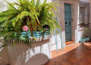 a porch with a bunch of plants on a wall at El Nogal Home in Málaga