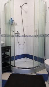a bathroom with a shower and a toilet at Domek w NABO in Załuski