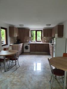 a kitchen with a table and chairs and a refrigerator at Daiana Residence Cabane in Turda