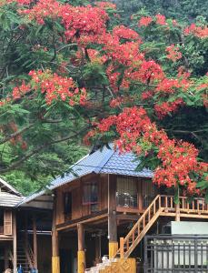 a wooden house with red flowers on a tree at Nha Tan - Mai Chau Homestay and Tours in Mai Châu