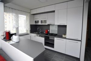 Kuchyňa alebo kuchynka v ubytovaní Apartmán Zuzka