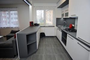 Kuchyňa alebo kuchynka v ubytovaní Apartmán Zuzka