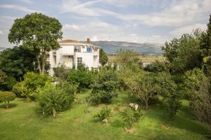 an aerial view of a white house surrounded by trees at Casa Agata in Ulcinj