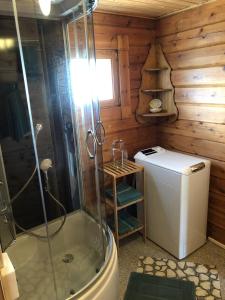 a bathroom with a shower and a washing machine at Ferienhaus Sterling in Luckau