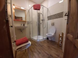 Koupelna v ubytování Apartmány AMADE Jeseníky + 23 fotografií