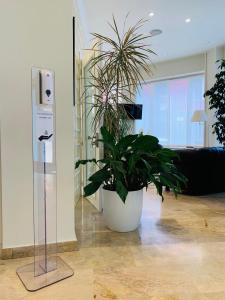 Fotografie z fotogalerie ubytování Hotel Europa v destinaci Alessandria