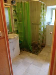 baño con ducha con cortina verde en la Belle Charentaise, en Mainxe