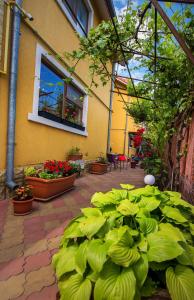 un patio con plantas verdes y un edificio en Vila Levent Mangalia en Mangalia