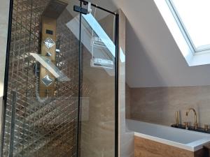 a glass shower in a bathroom with a skylight at Dom z ogrodem in Łąka