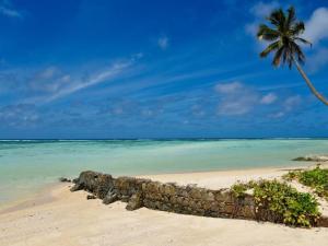 a stone wall on a beach with a palm tree at La Nature Apartments Au Cap in Mahe
