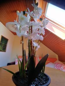 un vaso pieno di fiori bianchi su un tavolo di Apartma ob Savi a Čatež ob Savi