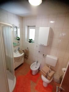 a bathroom with a toilet and a sink at Apartma ob Savi in Čatež ob Savi